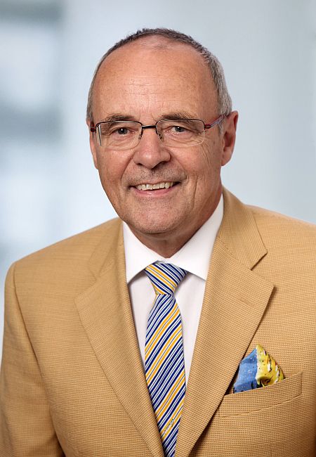 Helmut Bahe, Steuerberater
